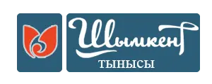 Шымкент тынысы